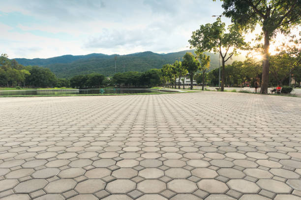 Best Decorative Driveway Pavers  in Badieville, LA